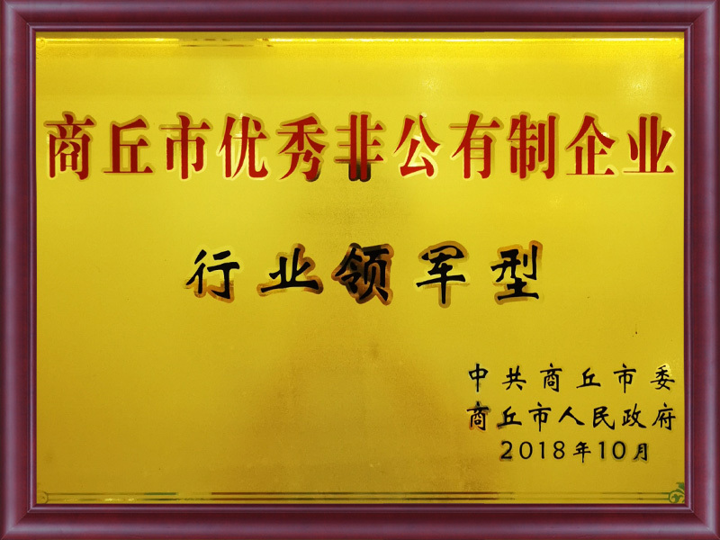Doanh nghiệp phi công lập xuất sắc của thành phố Shangqiu, dẫn đầu ngành